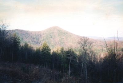 No Business Knob
As seen over Devil's Creek Watershed area on the way to Lost Cove  (taken in late 80`s)
