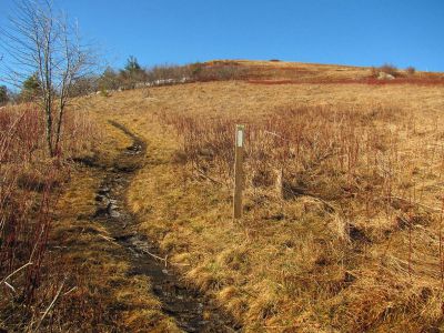 Taken on a Work Trip, 3-1-2011
