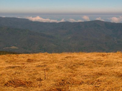 Taken on a Work Trip, 3-1-2011
