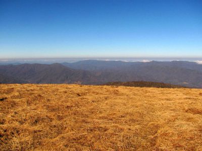 Taken on a Work Trip, 3-1-2011
