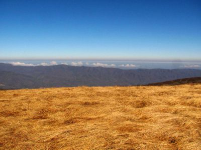 Taken on a Work Trip, 3-1-2011
