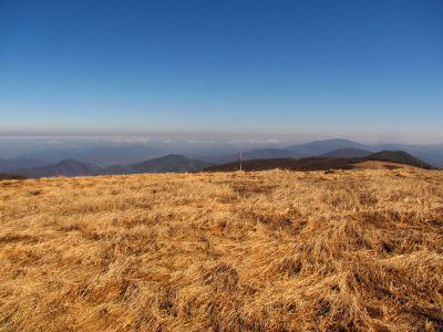 Taken on a Work Trip, 3-1-2011
