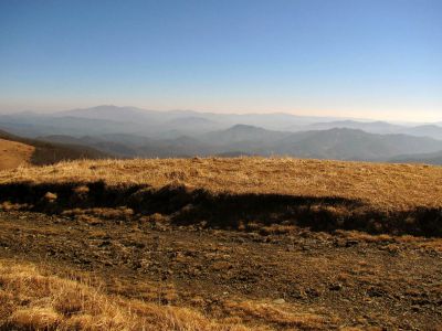 Taken on a Work Trip, 3-1-2011
