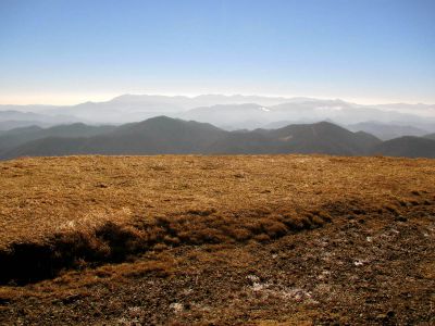 Taken on a Work Trip, 3-1-2011
