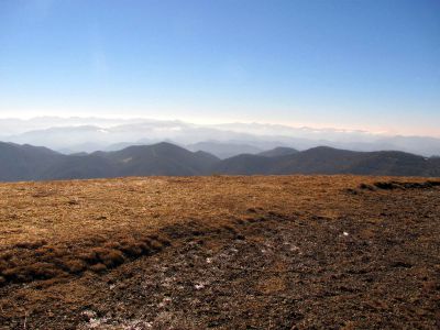 Taken on a Work Trip, 3-1-2011
