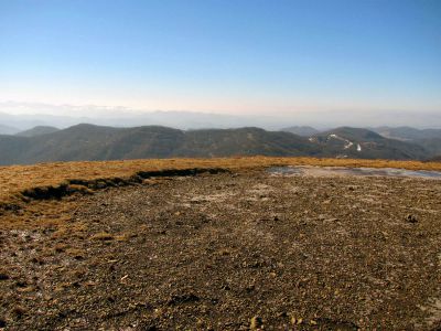 Taken on a Work Trip, 3-1-2011
