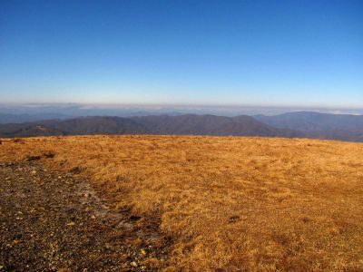 Taken on a Work Trip, 3-1-2011
