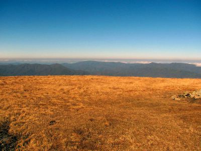 Taken on a Work Trip, 3-1-2011
