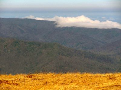 Taken on a Work Trip, 3-1-2011
