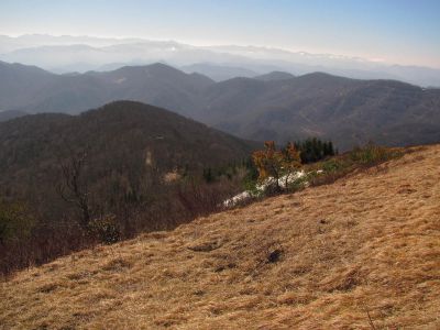 Taken on a Work Trip, 3-1-2011
