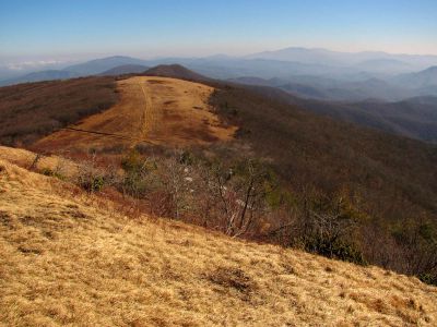 Taken on a Work Trip, 3-1-2011
