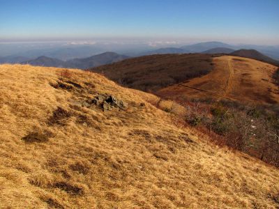 Taken on a Work Trip, 3-1-2011
