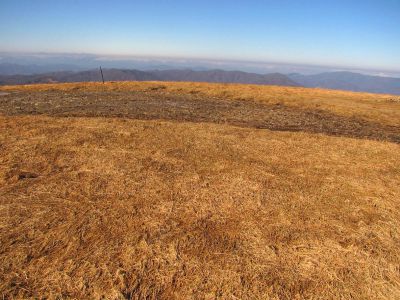 Taken on a Work Trip, 3-1-2011
