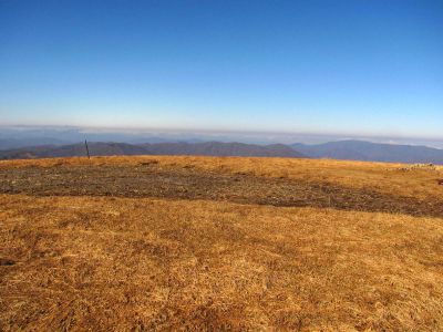 Taken on a Work Trip, 3-1-2011
