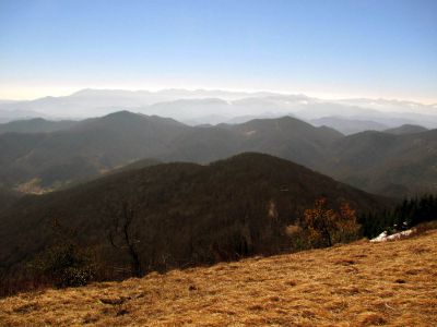 Taken on a Work Trip, 3-1-2011
