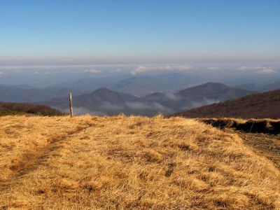 Taken on a Work Trip, 3-1-2011
