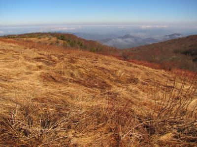 Taken on a Work Trip, 3-1-2011
