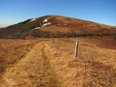 Taken on a Work Trip, 3-1-2011
