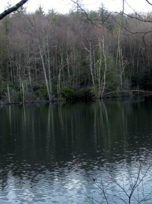 Taken Feb 3, 2012
