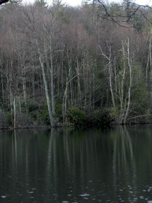 Taken Feb 3, 2012
