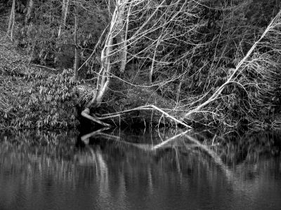 Taken Feb 3, 2012
