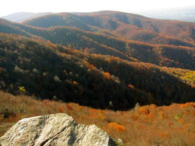 Taken 10-21-2012

