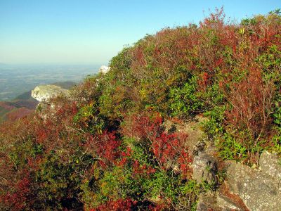 Part of Blackstack Cliffs (Taken 10-8-2011)
