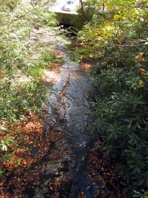 Headwaters of Wilson Creek seen from the wooden bridge on the Rough Ridge Trail near the trail head Taken Oct 21, 2012
