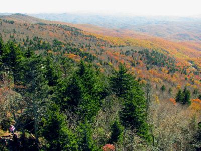 View from the mile high swinging bridge taken 10-19-2012
