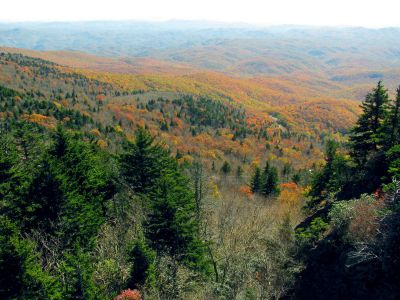 View from the mile high swinging bridge taken 10-19-2012
