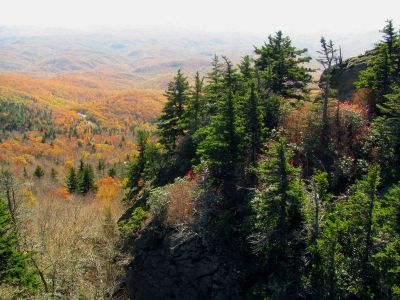 View from the mile high swinging bridge taken 10-19-2012
