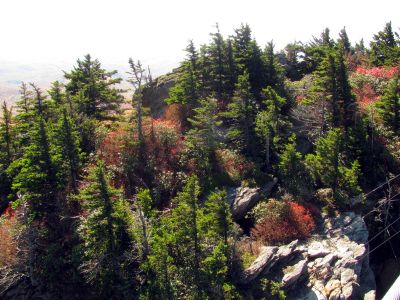 View from the mile high swinging bridge taken 10-19-2012
