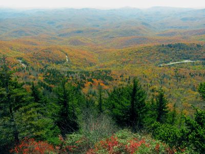 View from the mile high swinging bridge taken 10-19-2012
