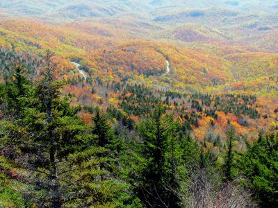 View from the mile high swinging bridge taken 10-19-2012
