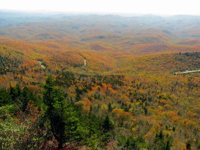 View from the mile high swinging bridge taken 10-19-2012
