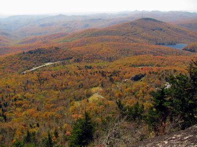 View from the mile high swinging bridge taken 10-19-2012
