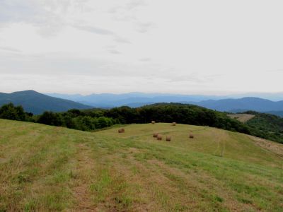 View from Max Patch 9-9-2010

