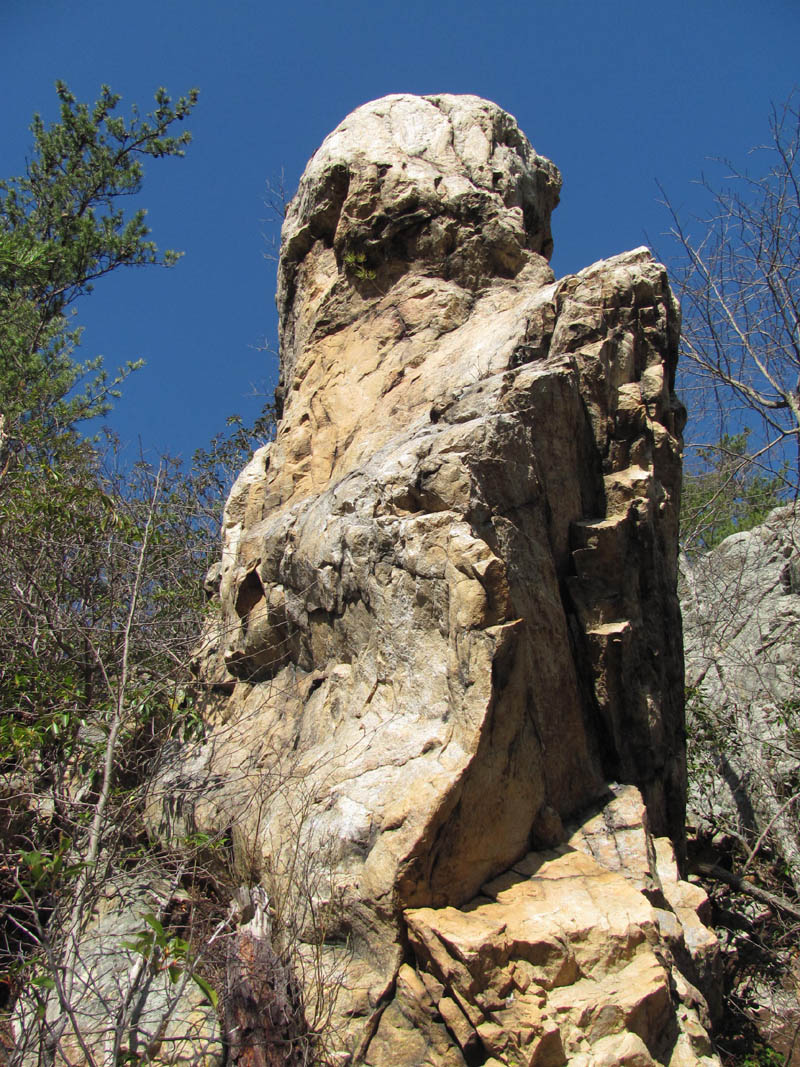 bird_rock4.jpg