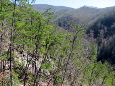 sill_br_north_fork.jpg