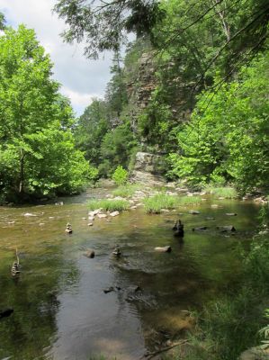 Taken 6-14-2018   Paint Creek near Paint Rock 
