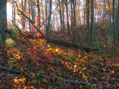 After a long arduous climb through some nice Fall color, I can see the high ridge top above me

