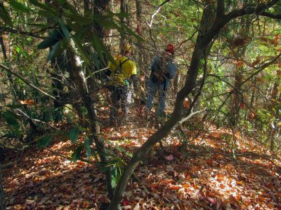 Found what we hope is the right narrow finger ridge following the guidance of the Roan Mountain Jedi, Larry Jarret we soon end up on cliff edges 
