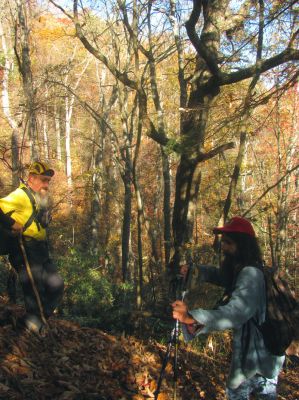 Surfing the ridges on Black Mountain TN. 
