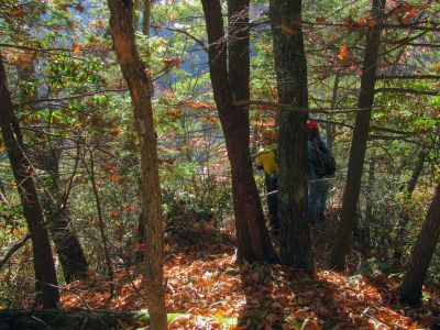 Getting a view off one of the precipices 
