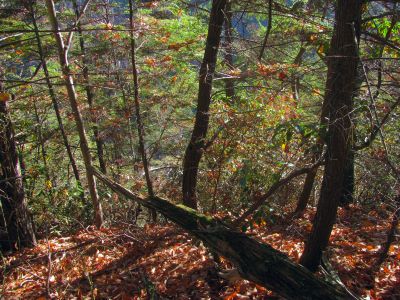 One has to be very careful here as it would be very easy to walk off a sheer vertical drop as it lined our right side all the way down once we found the right finger ridge
