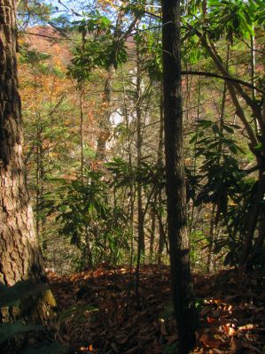 First views of the Rhino Cliffs
