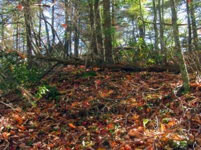 Climbing up the backside of the cliffs to reach the top 
