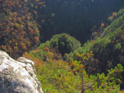 View from Rhino Cliffs. In this image you are looking down upon where the top of Laurel Falls are located in the gorge below. This is behind the falls as they are on the right side of that green knob in the center as they are falling away from us  in this angle
