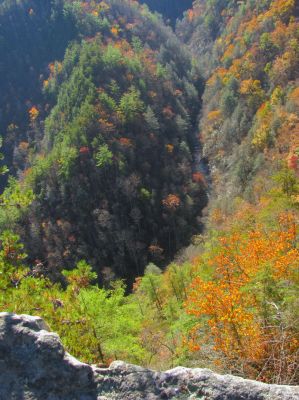 Cliff view of the Laurel Creek gorge which is just above the lower falls 
