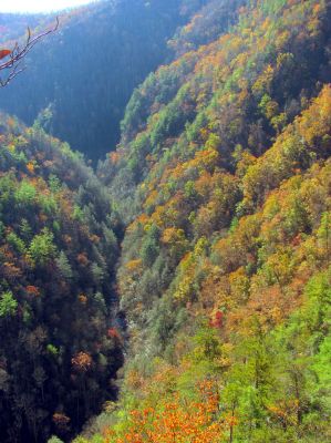 Cliff view of the Laurel Creek gorge which is just above the lower falls 
